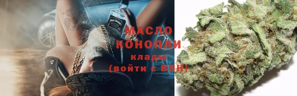 молекула духа Балахна