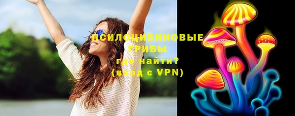 молекула духа Балахна