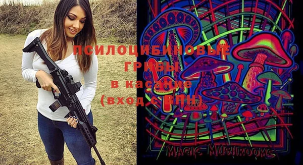 молекула духа Балахна