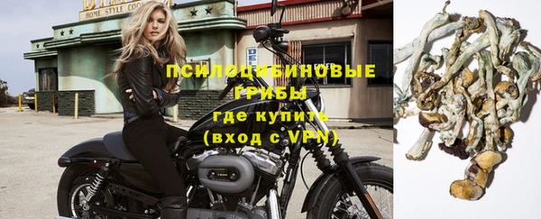 трава Баксан