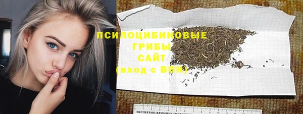 молекула духа Балахна
