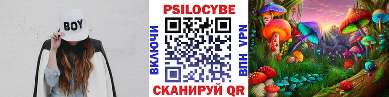 купить наркотики цена  Кушва  Галлюциногенные грибы прущие грибы 